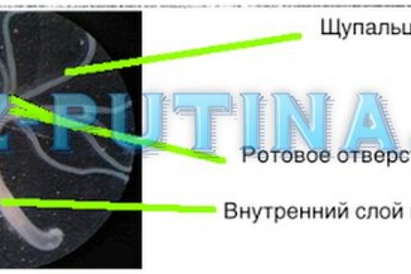 Настоящая ссылка на кракен