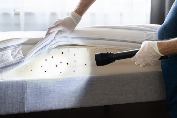 Kraken зеркало рабочее market